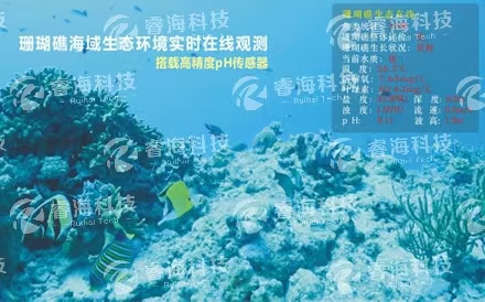 海洋觀測系統：水下波浪在線觀測系統